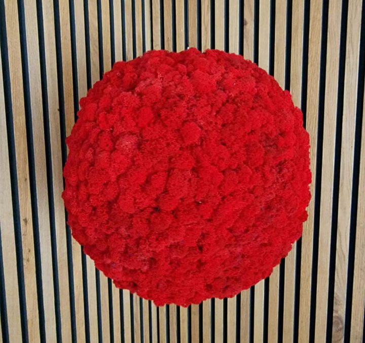 Akustik-paneele-moos-innovativ-Referenz Coverup Design